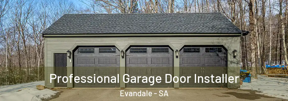  Professional Garage Door Installer Evandale - SA