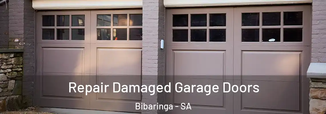 Repair Damaged Garage Doors Bibaringa - SA