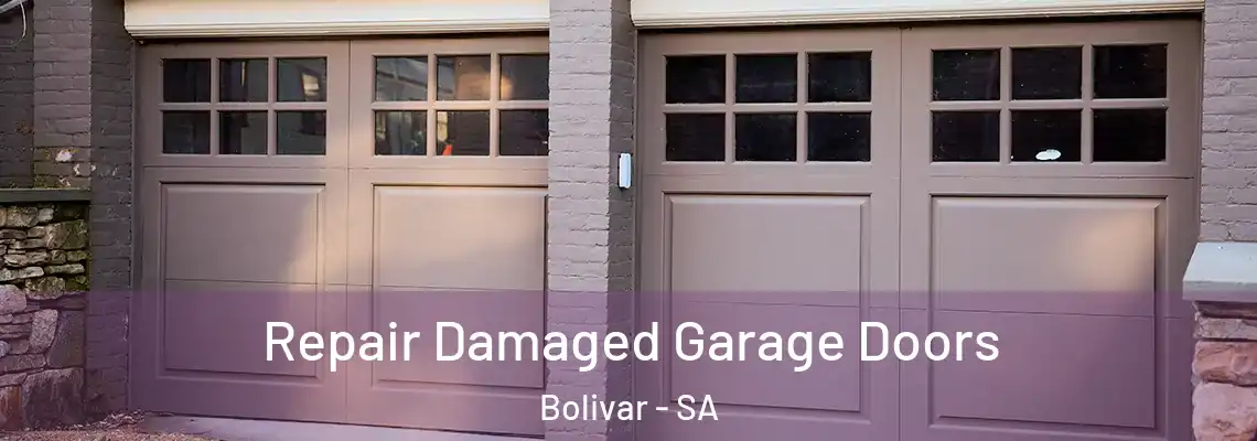  Repair Damaged Garage Doors Bolivar - SA