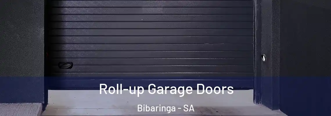  Roll-up Garage Doors Bibaringa - SA
