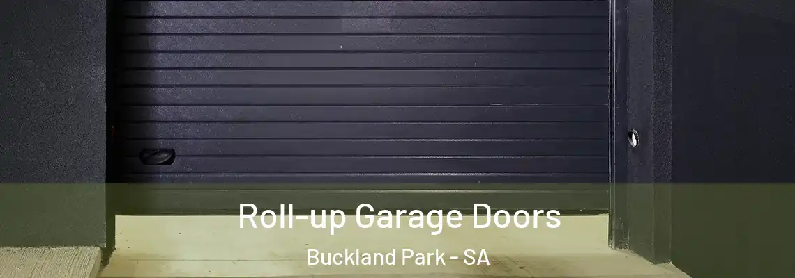  Roll-up Garage Doors Buckland Park - SA