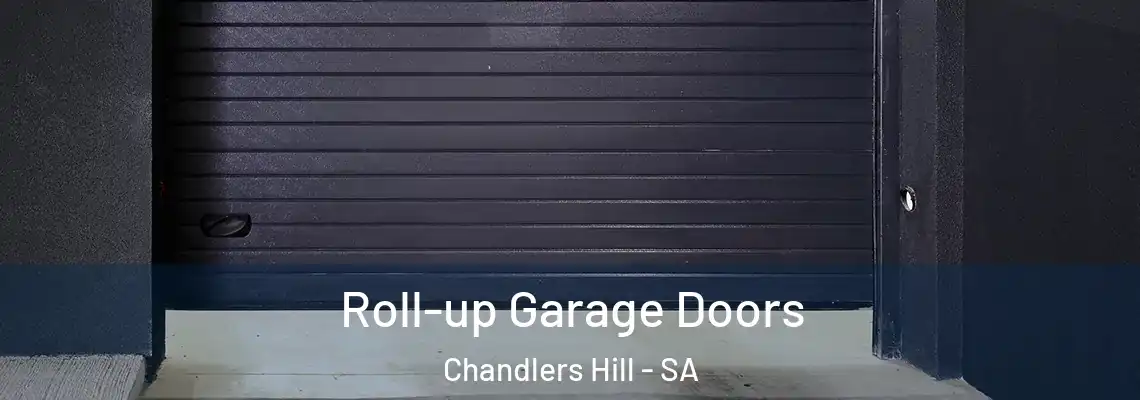 Roll-up Garage Doors Chandlers Hill - SA