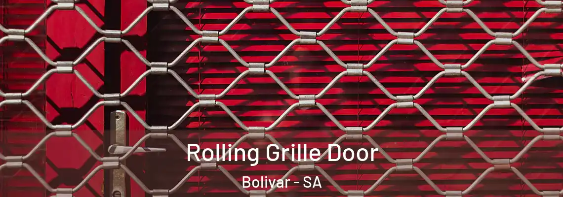  Rolling Grille Door Bolivar - SA