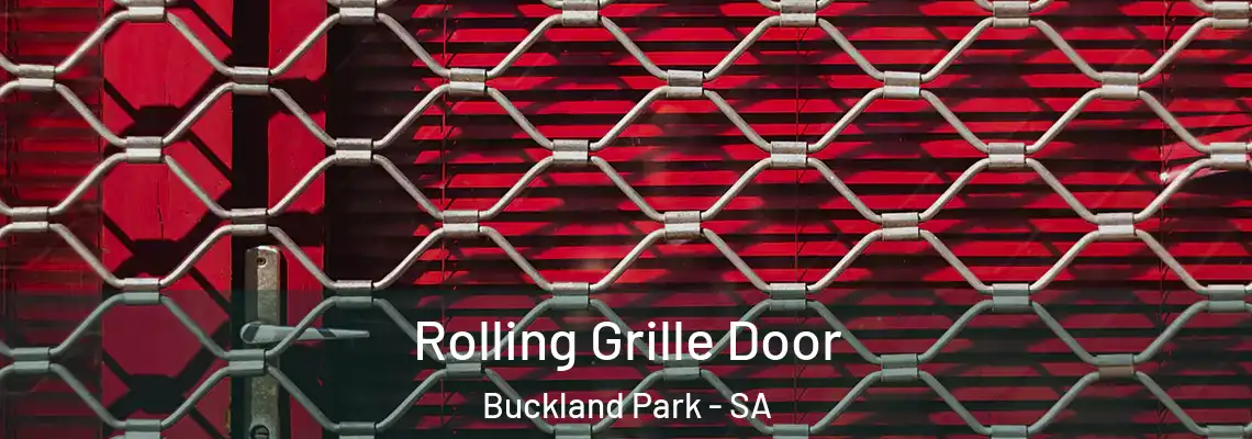  Rolling Grille Door Buckland Park - SA