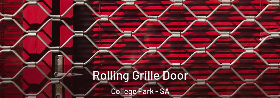  Rolling Grille Door College Park - SA