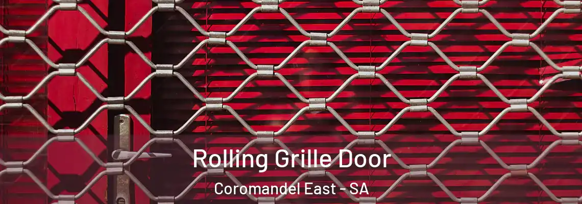  Rolling Grille Door Coromandel East - SA