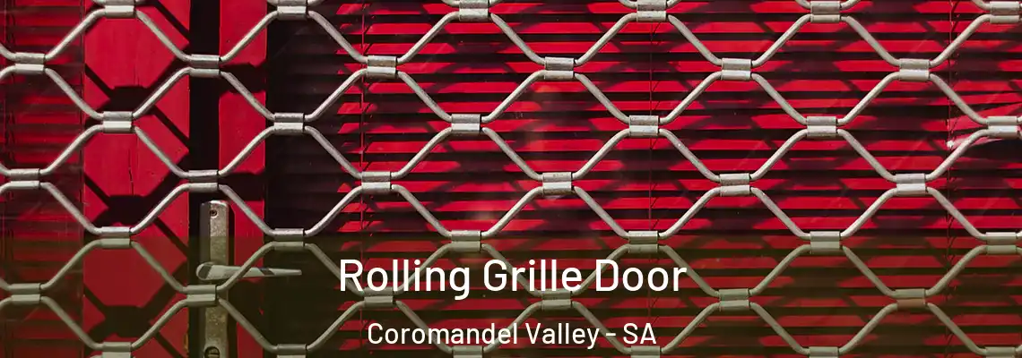  Rolling Grille Door Coromandel Valley - SA