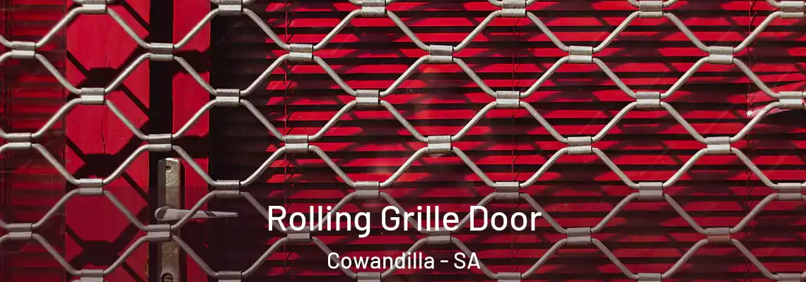  Rolling Grille Door Cowandilla - SA