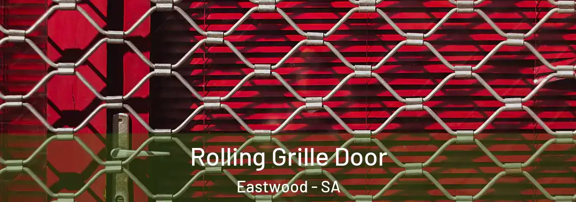  Rolling Grille Door Eastwood - SA