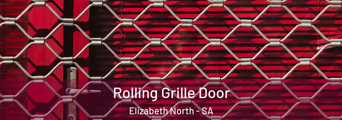  Rolling Grille Door Elizabeth North - SA