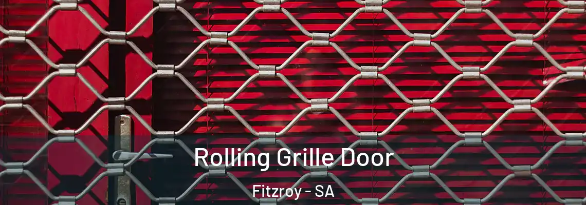  Rolling Grille Door Fitzroy - SA