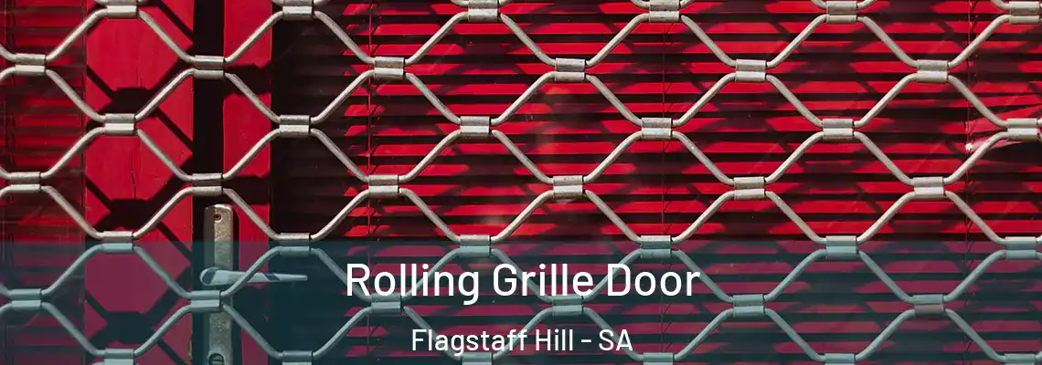  Rolling Grille Door Flagstaff Hill - SA