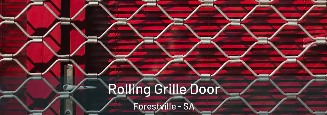  Rolling Grille Door Forestville - SA