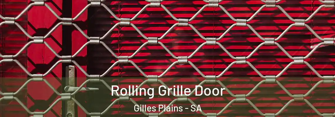  Rolling Grille Door Gilles Plains - SA