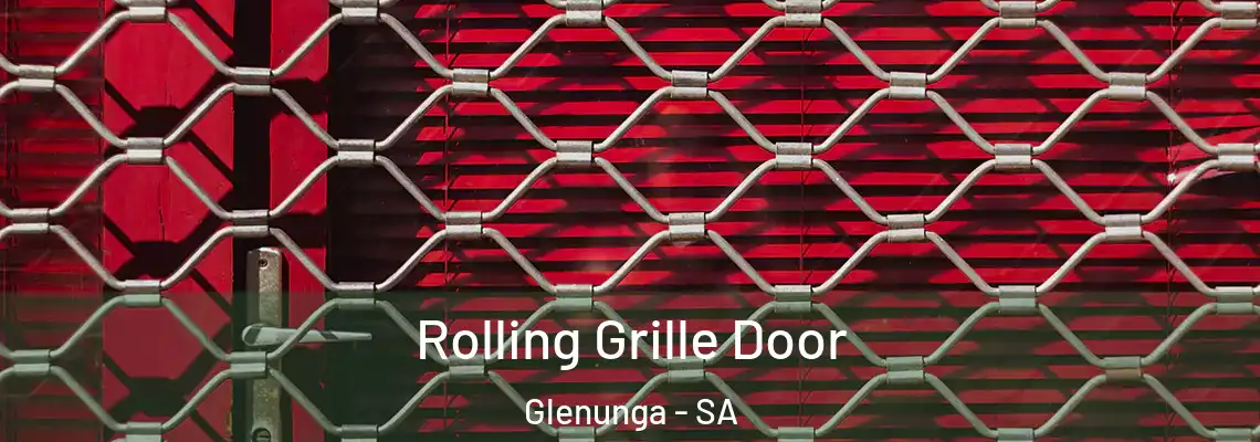  Rolling Grille Door Glenunga - SA