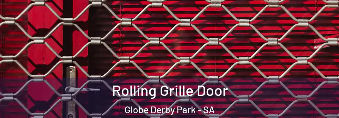  Rolling Grille Door Globe Derby Park - SA