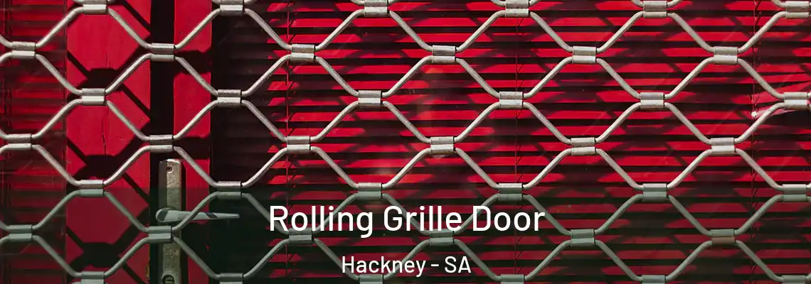  Rolling Grille Door Hackney - SA