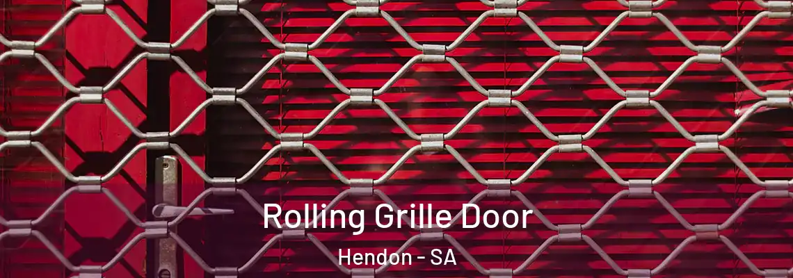  Rolling Grille Door Hendon - SA