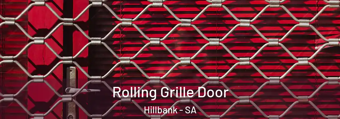  Rolling Grille Door Hillbank - SA