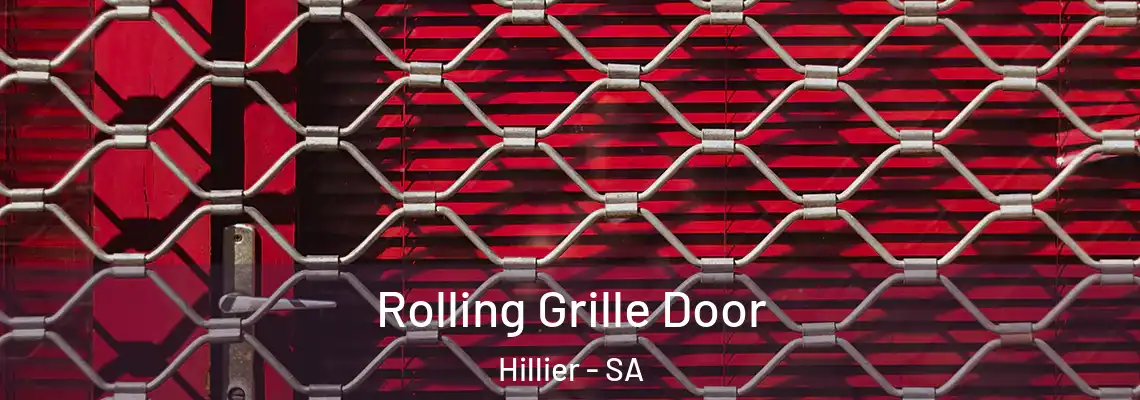  Rolling Grille Door Hillier - SA