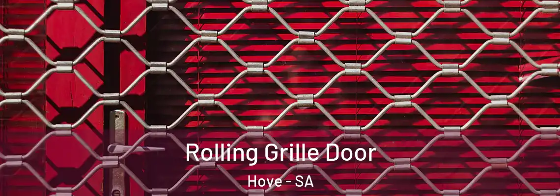  Rolling Grille Door Hove - SA