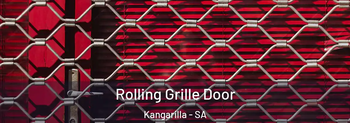  Rolling Grille Door Kangarilla - SA