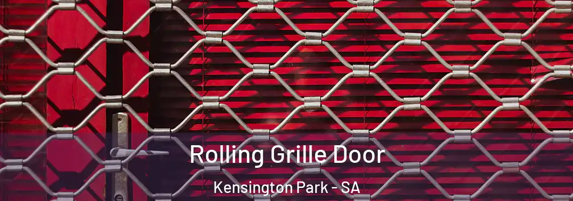  Rolling Grille Door Kensington Park - SA