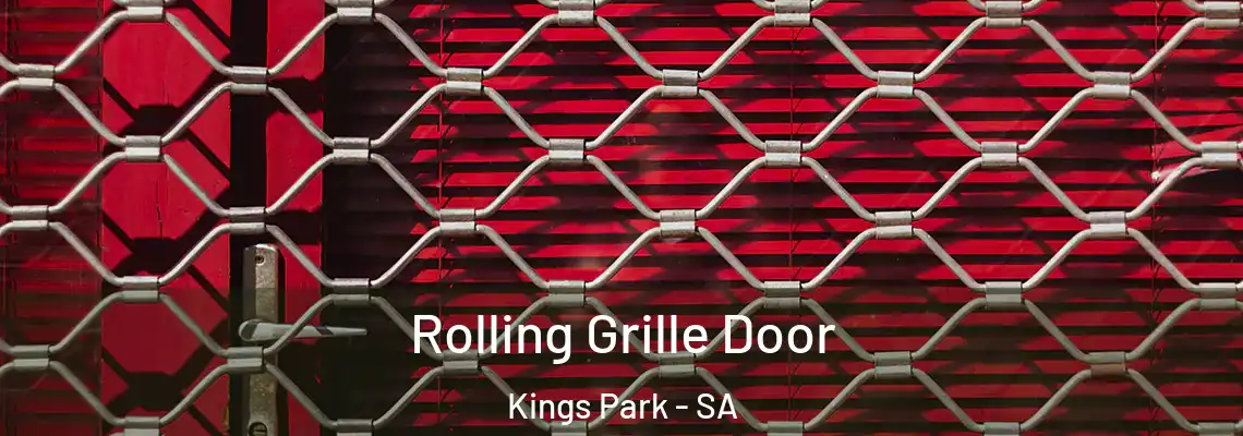  Rolling Grille Door Kings Park - SA