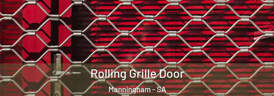  Rolling Grille Door Manningham - SA
