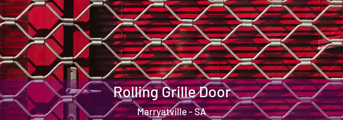  Rolling Grille Door Marryatville - SA