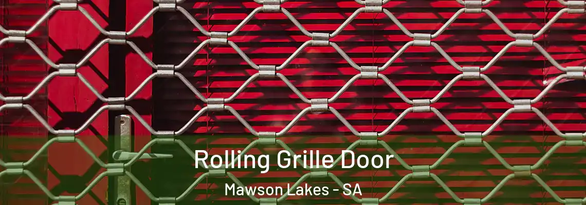  Rolling Grille Door Mawson Lakes - SA