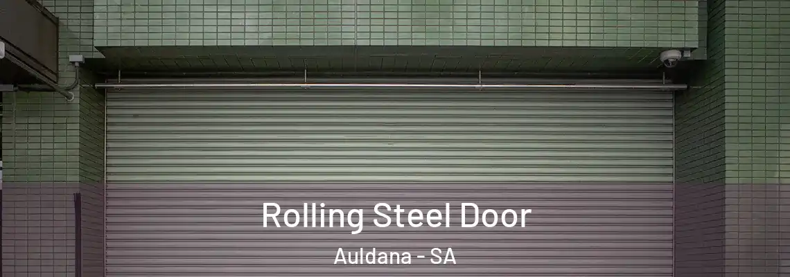  Rolling Steel Door Auldana - SA
