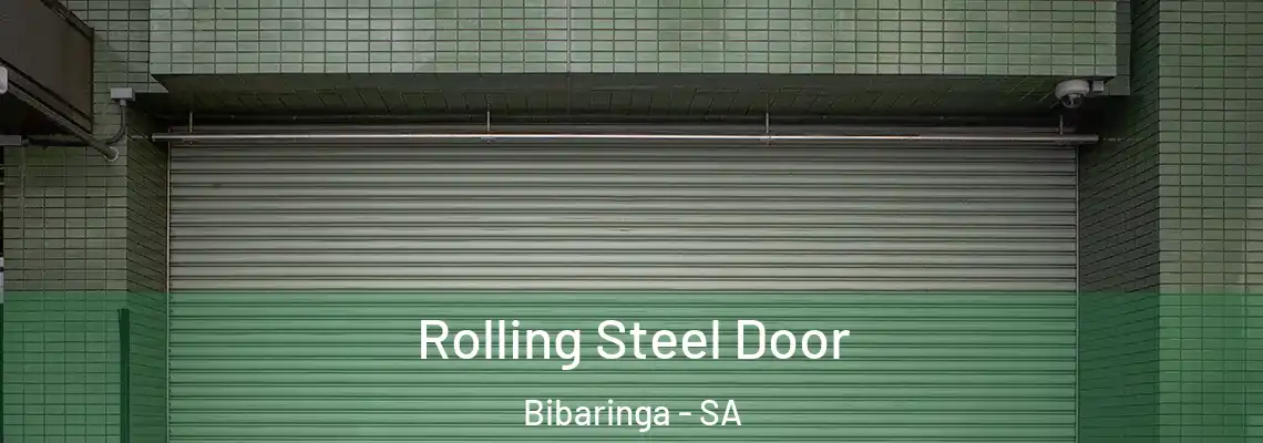 Rolling Steel Door Bibaringa - SA