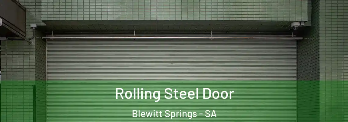  Rolling Steel Door Blewitt Springs - SA