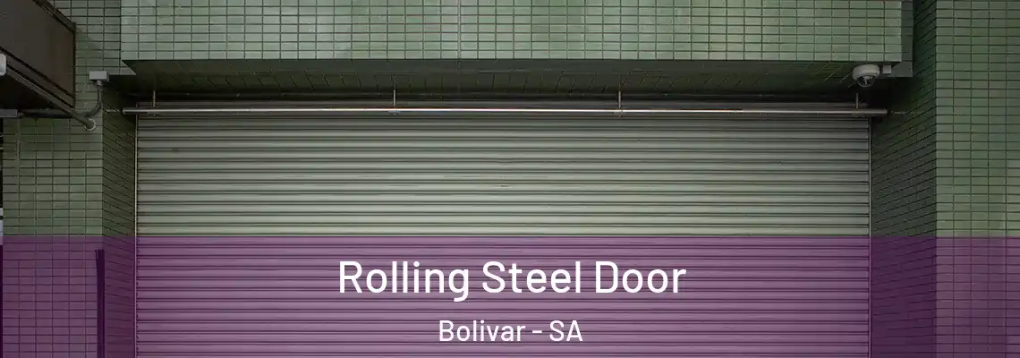  Rolling Steel Door Bolivar - SA