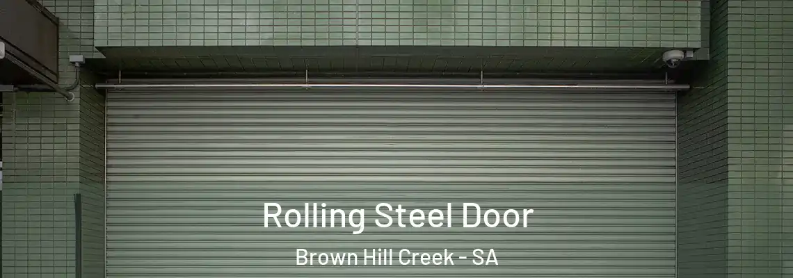  Rolling Steel Door Brown Hill Creek - SA