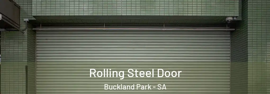  Rolling Steel Door Buckland Park - SA