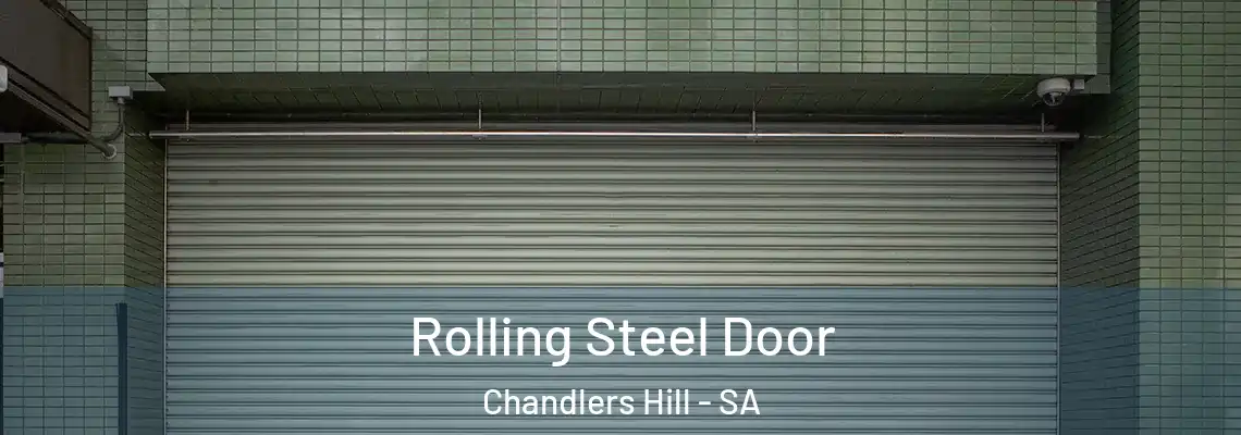  Rolling Steel Door Chandlers Hill - SA
