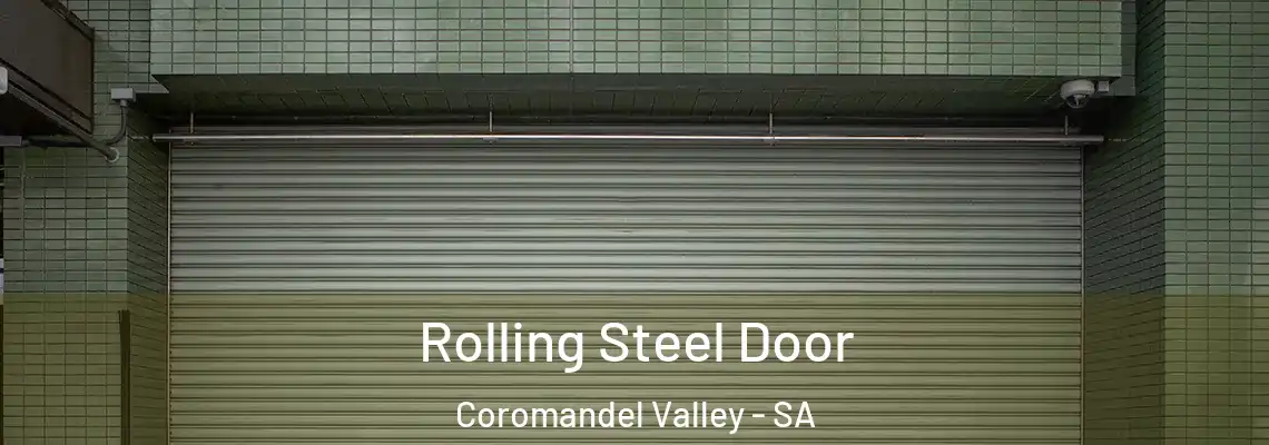  Rolling Steel Door Coromandel Valley - SA