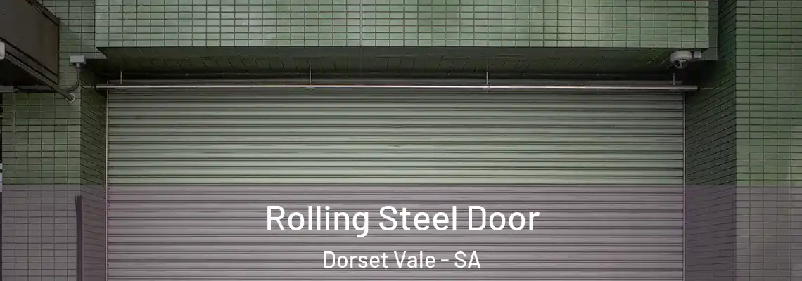 Rolling Steel Door Dorset Vale - SA