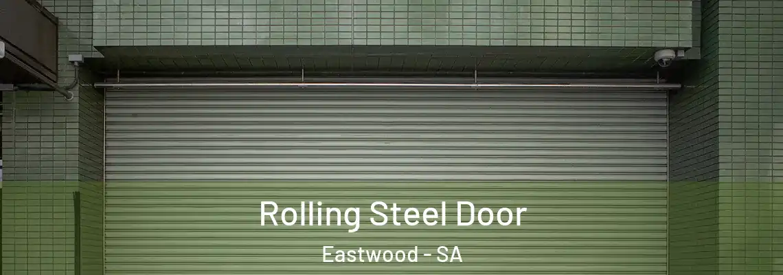  Rolling Steel Door Eastwood - SA