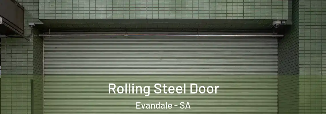  Rolling Steel Door Evandale - SA