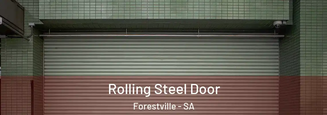  Rolling Steel Door Forestville - SA