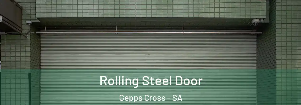 Rolling Steel Door Gepps Cross - SA