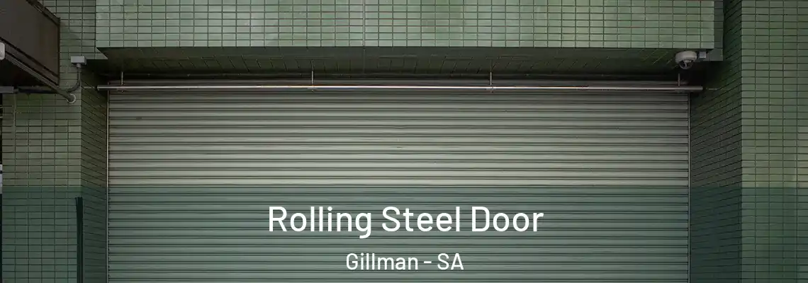  Rolling Steel Door Gillman - SA