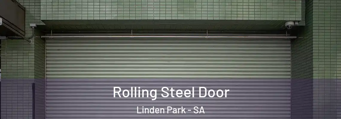  Rolling Steel Door Linden Park - SA