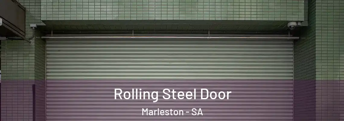  Rolling Steel Door Marleston - SA