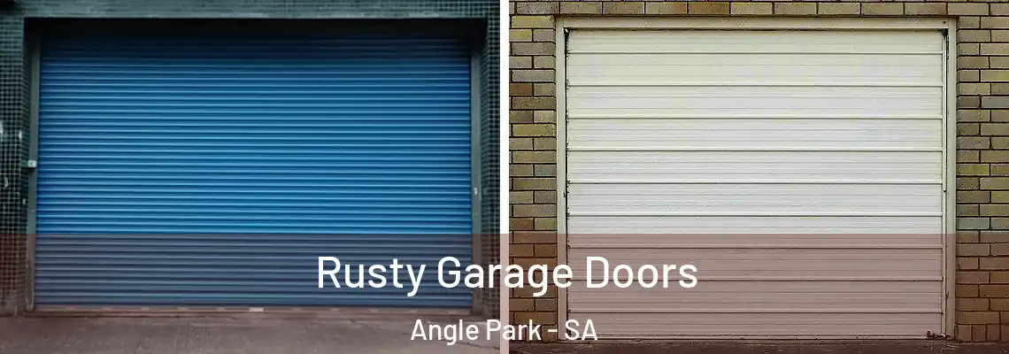  Rusty Garage Doors Angle Park - SA