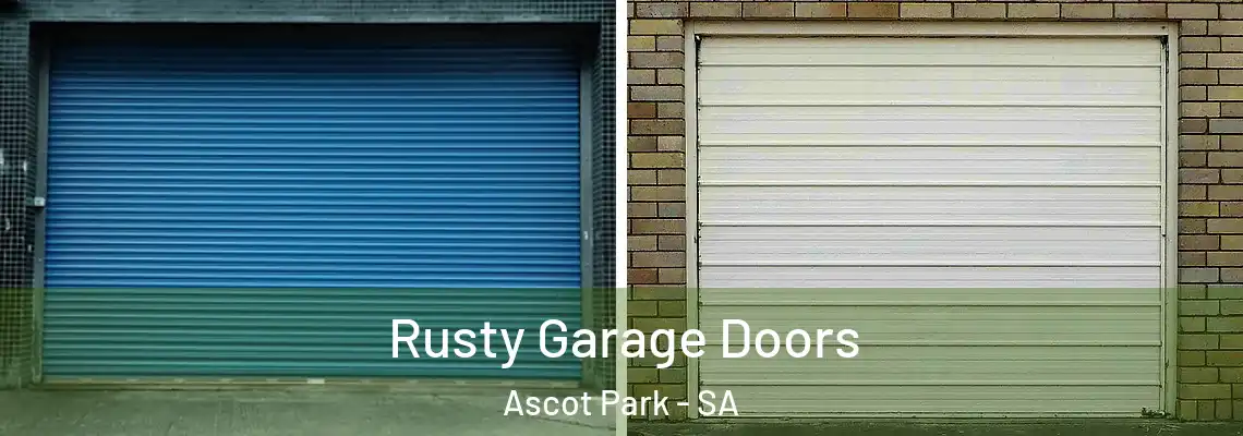  Rusty Garage Doors Ascot Park - SA