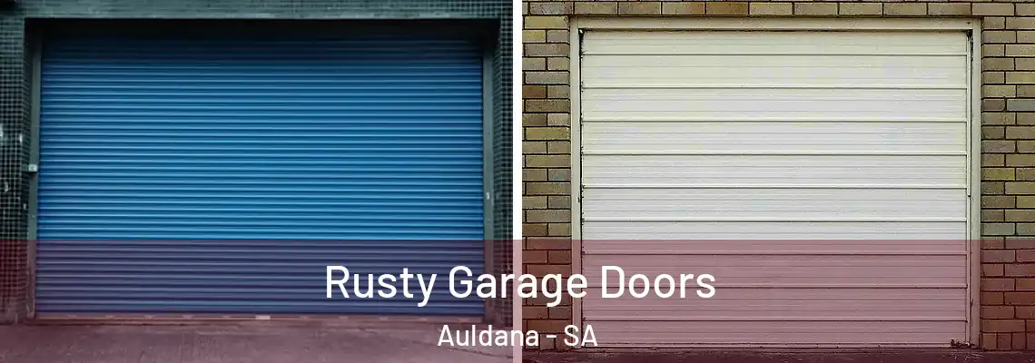  Rusty Garage Doors Auldana - SA